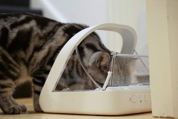 Sure Petcare -SureFlap - SureFeed - Microchip Pet Feeder - Selective-Automatic Pet Feeder Makes Meal Times Stress-Free, Suitable for Both Wet and Dry Food - MPF001 - Image 3